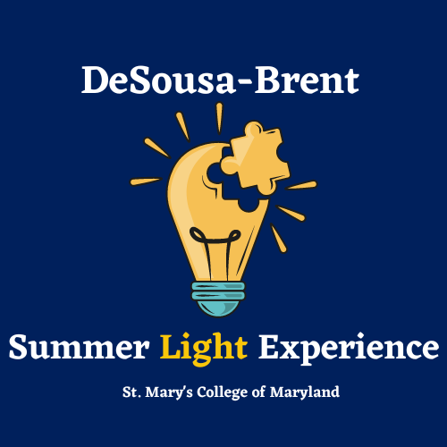 DB Summer Light Logo