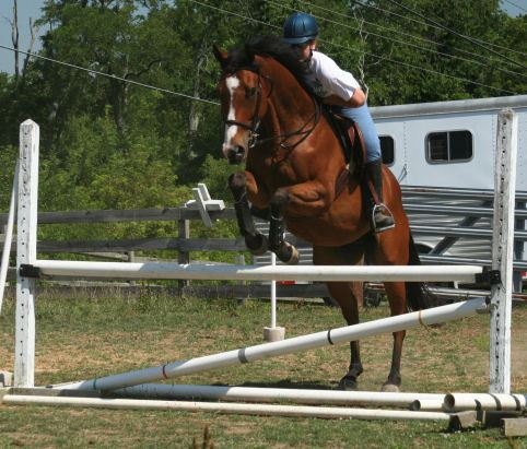 a woman on a brown horse leaps over a hurdle