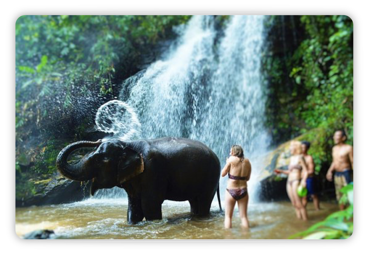Thailand Study Tour: Summer 2019 Informational Meeting