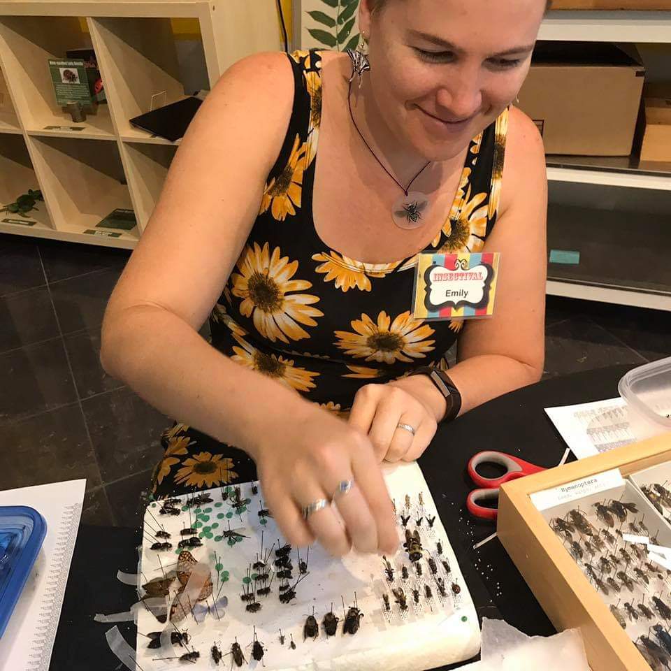 Emily works on her insect collection