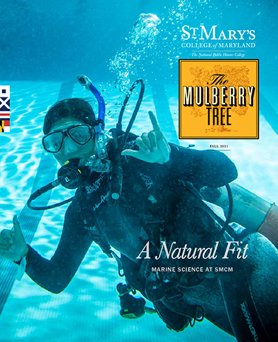 cover of fall issue of Mulberry Tree