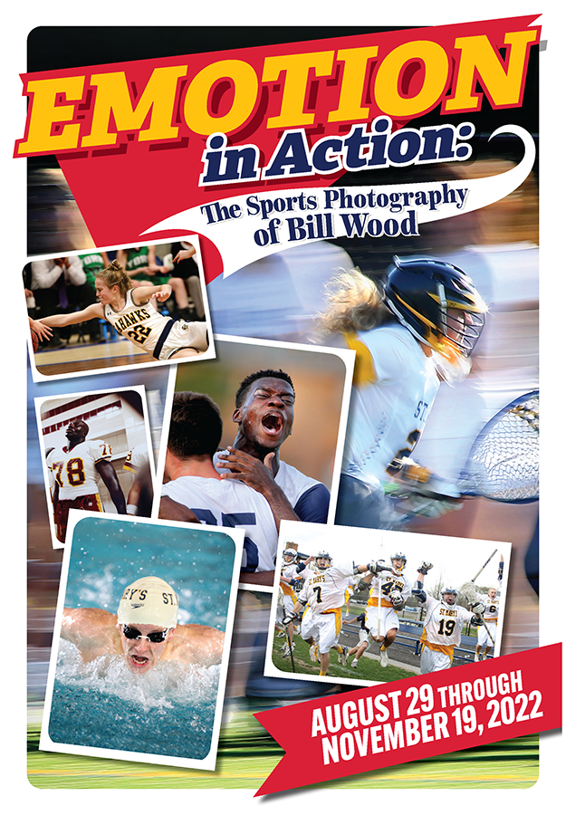 Emotion in Action promo poster