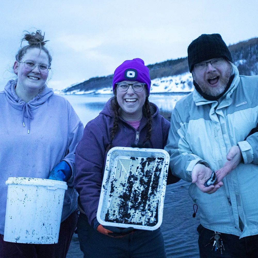 three scientists standing in an Iceland fjord holding a benthic sample