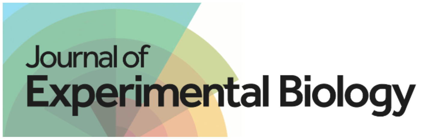 colorful wedge logo with "The journal of experimental biology" in black text 