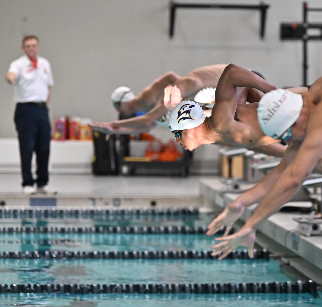 Swimmers diving into pool