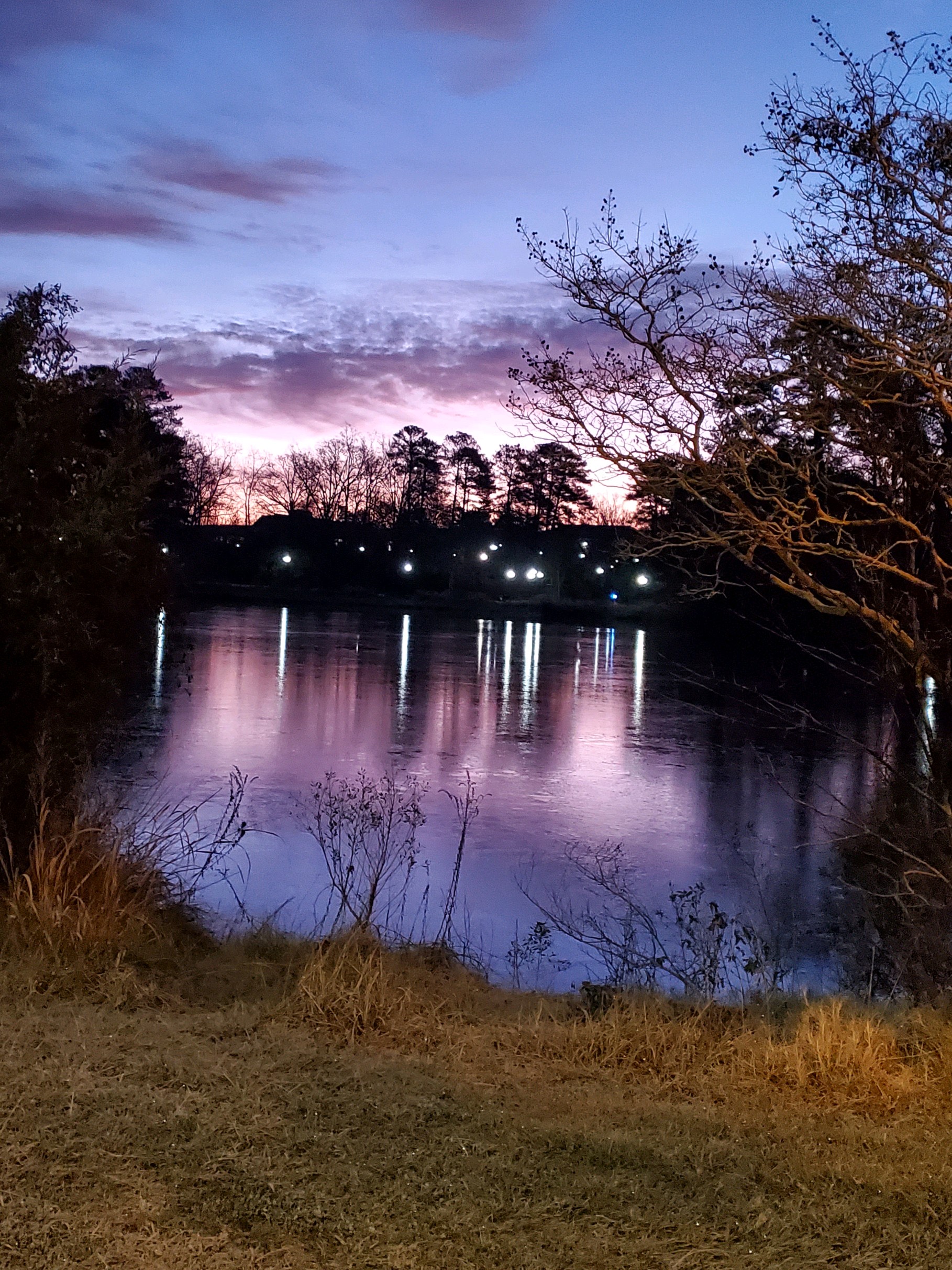 Early morning purple sky with pond in foreground