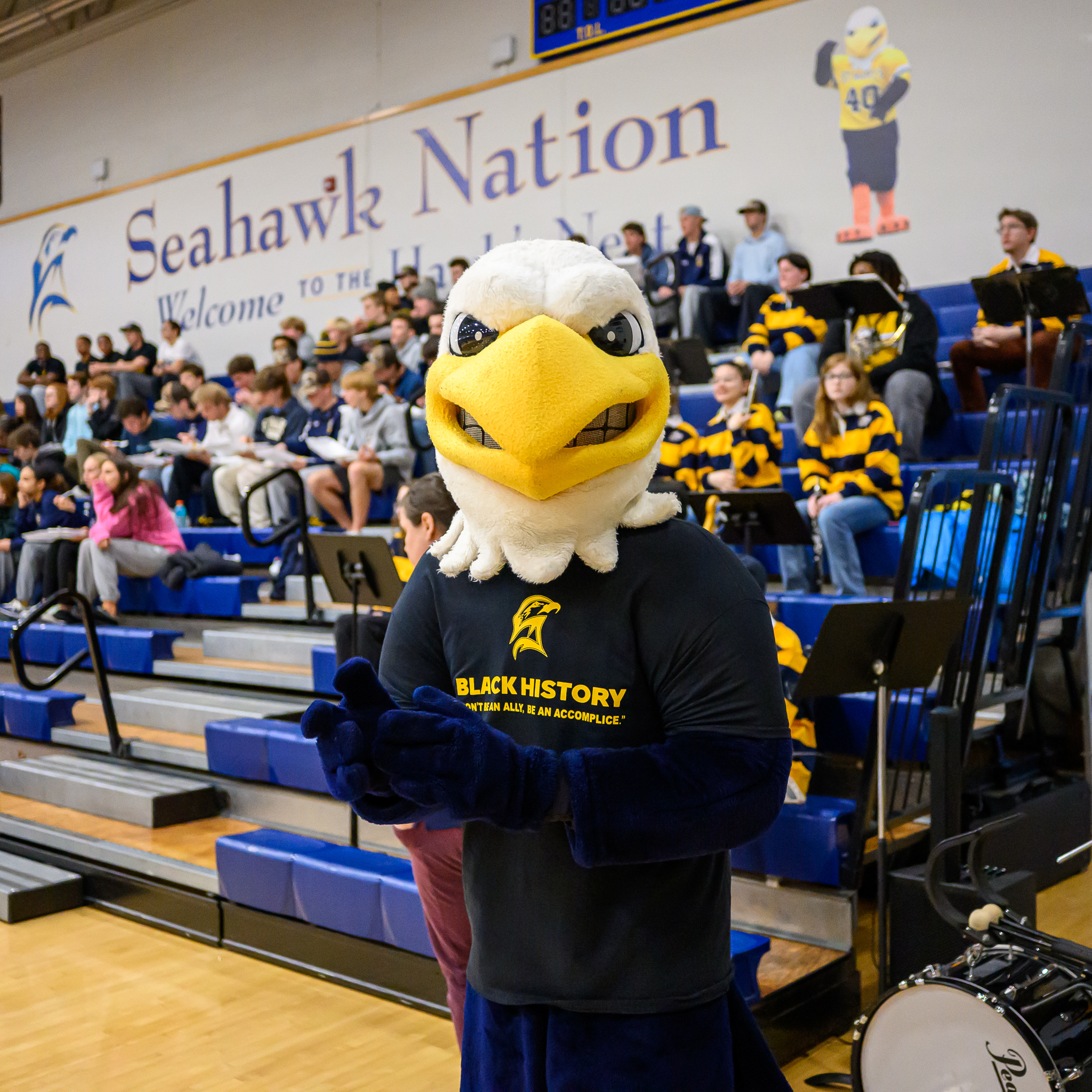 Solomon Seahawk at basketball game