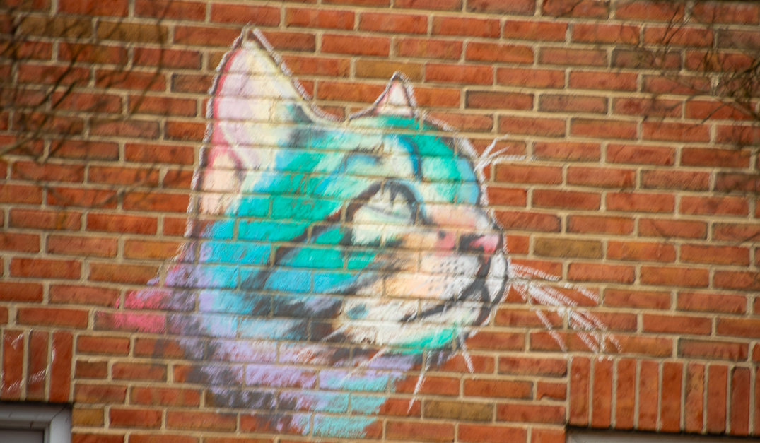 Wall graffiti image of campus cat "Meatball" 