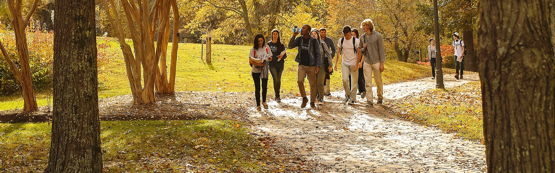 Students walking on Campus