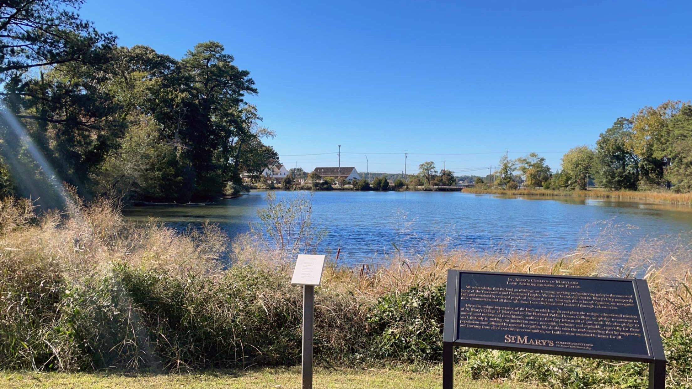 Cloudless blue skies over St. John's Pond