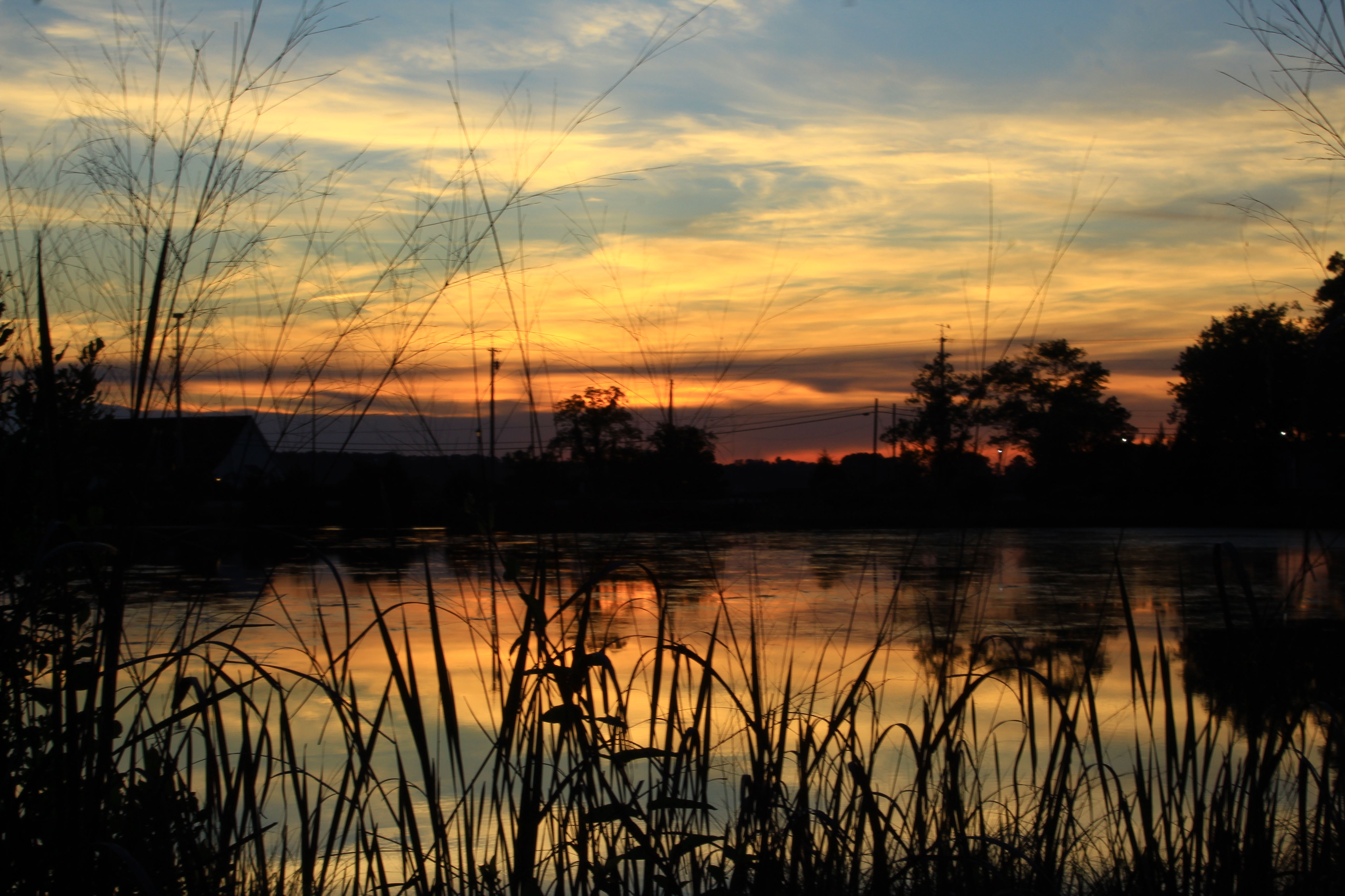 Photo of St. John's pond at sunset. At the top of the photo, the sky is blue and cloudy. In the middle is an orange glow. At the bottom of the photo the pond reflects the sky. Reeds and trees are visible.