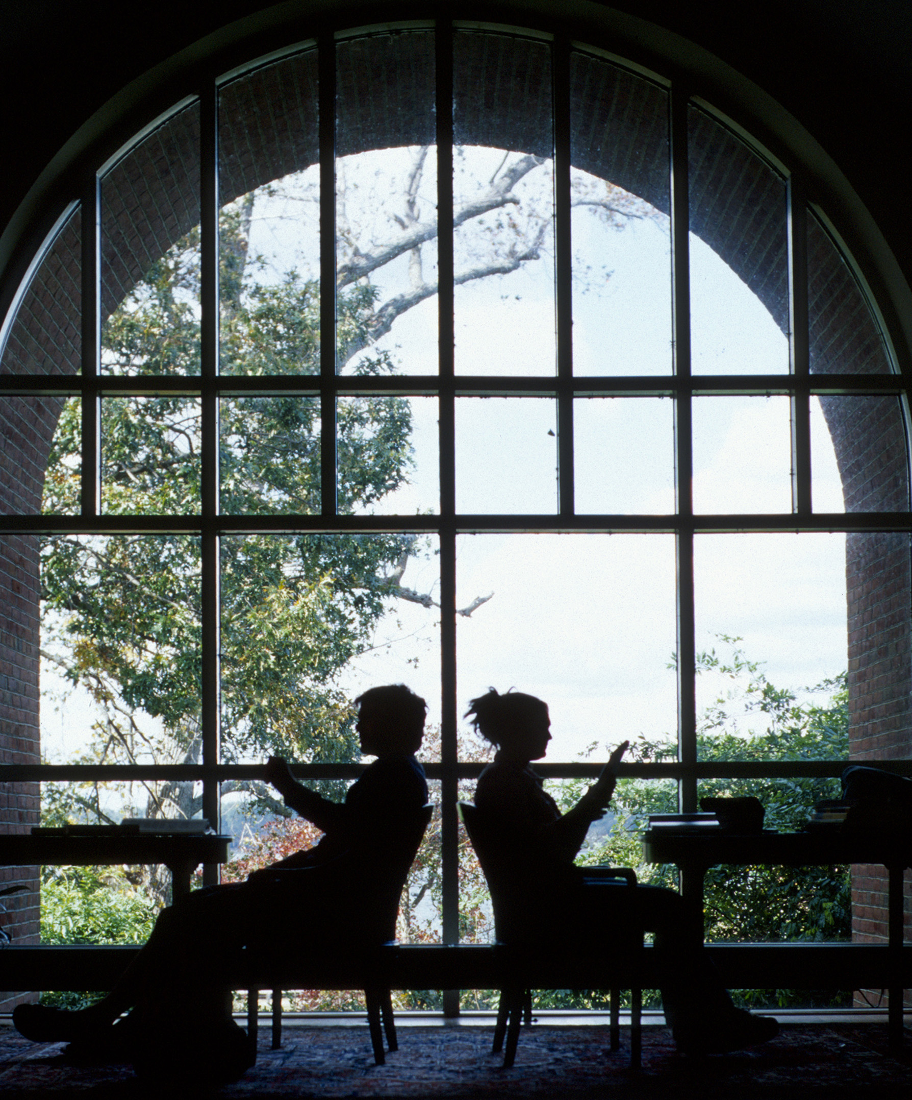 students studying in the library