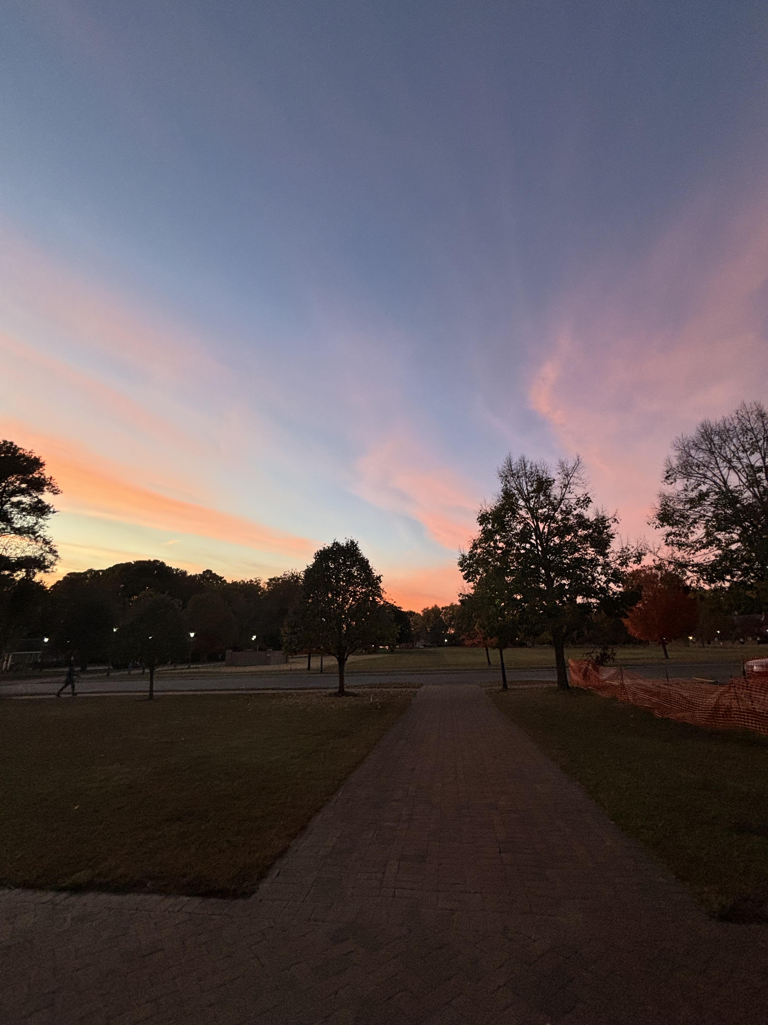 Pink clouds stretching across the blue sky during sunset