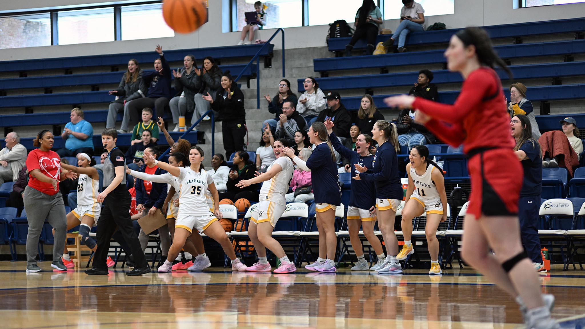 Basketball team members cheer from the bench in front of crowd