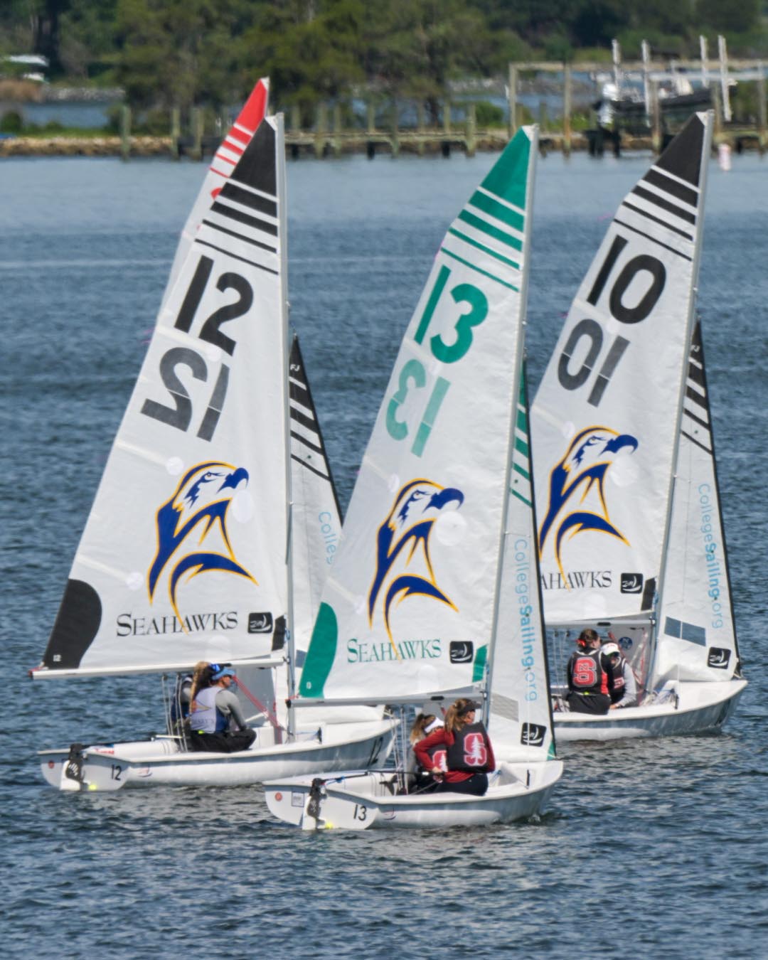Three sailboats with "Seahawks" logos and numbered sails (12, 13, 10) compete on the water, each boat crewed by two people. Trees and a dock are visible in the background.