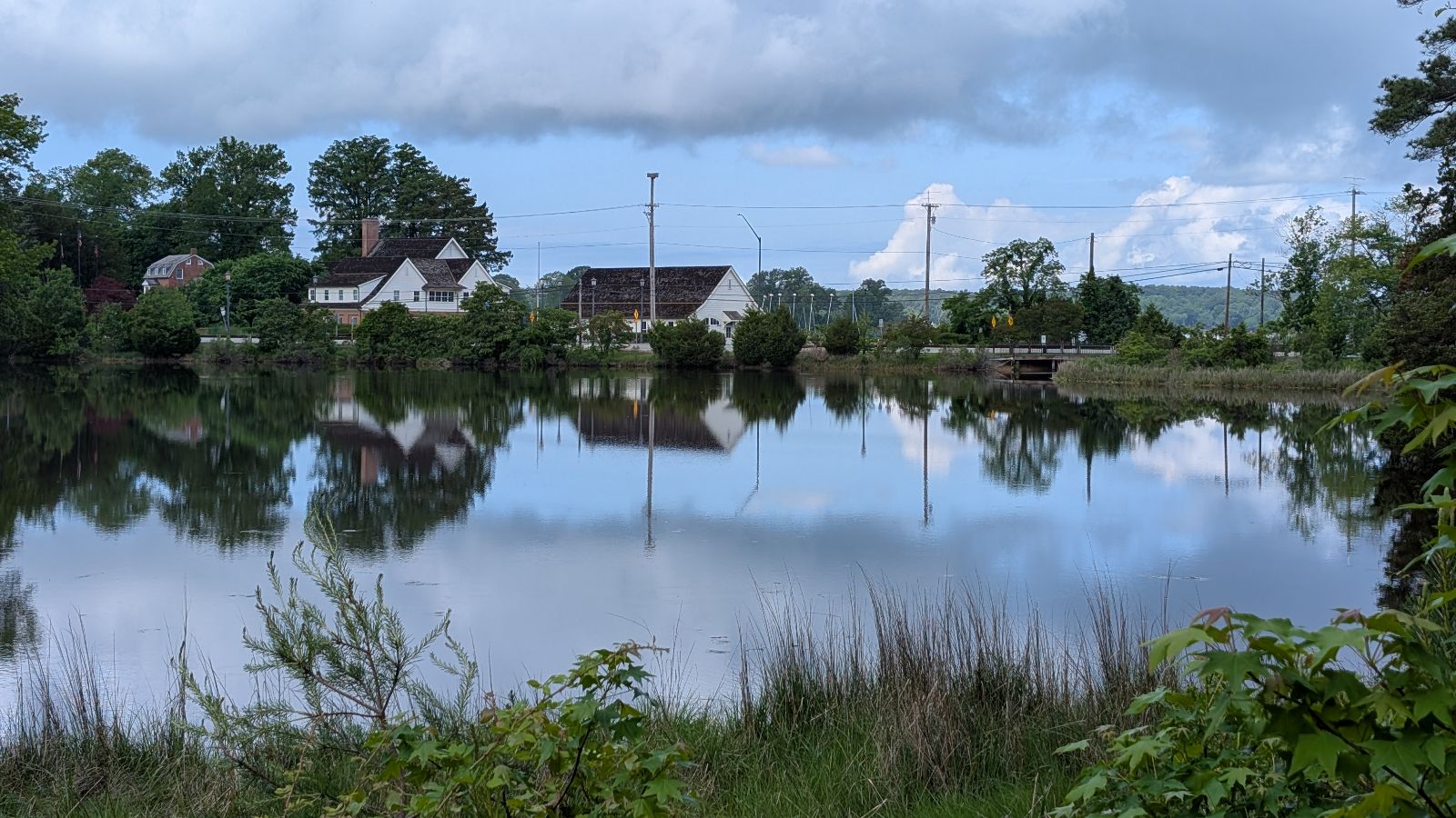 A calm pond reflects nearby houses, trees, and a cloudy sky, with grass and shrubs in the foreground and utility poles in the background.