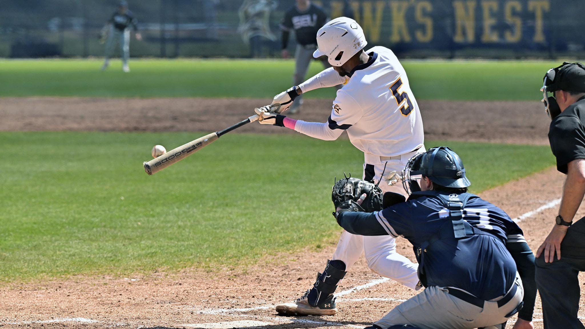 A baseball player in a white uniform hits a pitch while a catcher and umpire look on; "Hawks Nest" banner is visible in the background.
