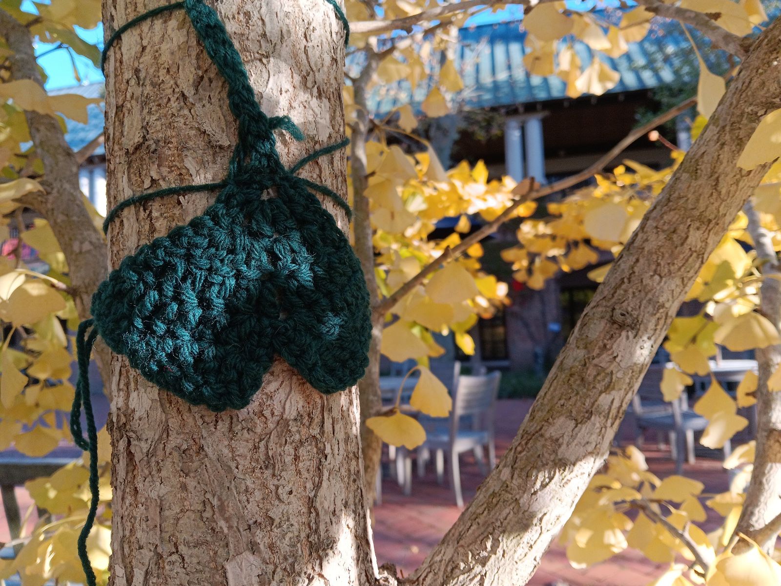 A green crocheted butterfly is tied to the trunk of a tree with yellow leaves. Outdoor seating and a building are visible in the background.