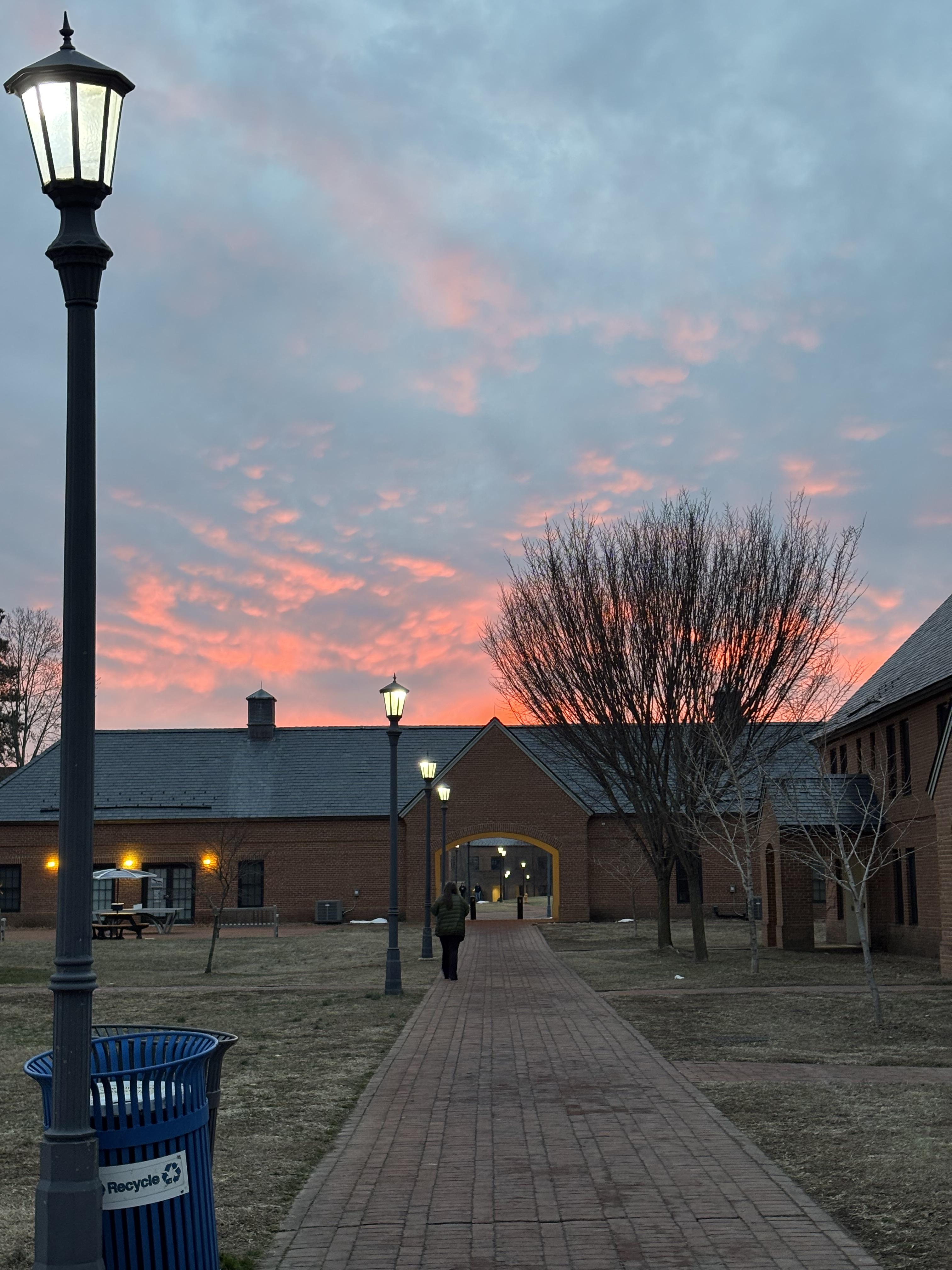 A person walks along a brick path between campus buildings at sunset, with street lamps lit and a blue recycling bin in the foreground.