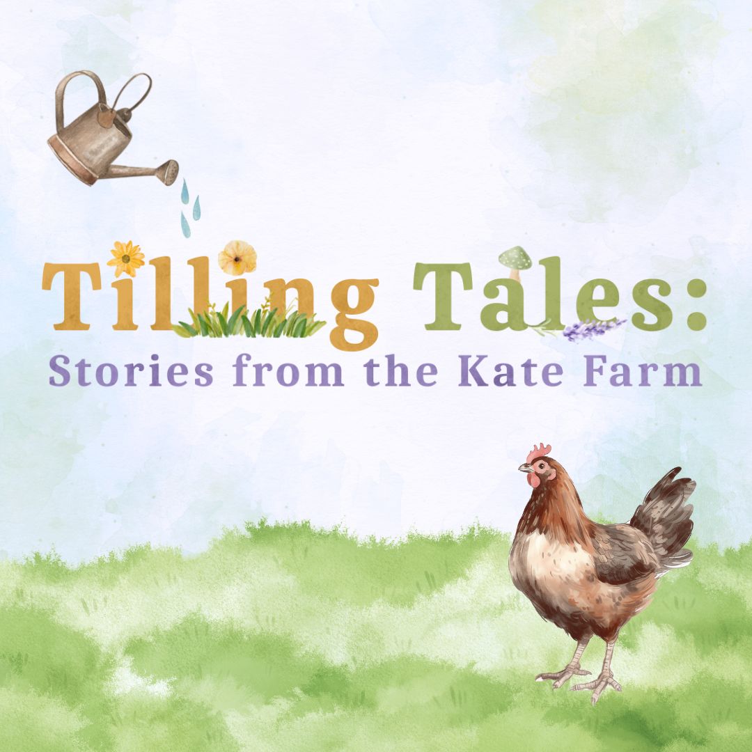 Illustration of a chicken on grass with a watering can above the text "Tilling Tales: Stories from the Kate Farm" in decorative fonts.