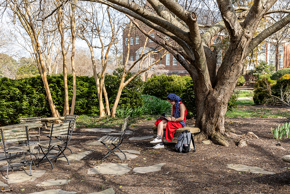 A person in a red dress sits under a large tree, reading or writing in a notebook, with empty chairs and tables nearby in a garden setting.