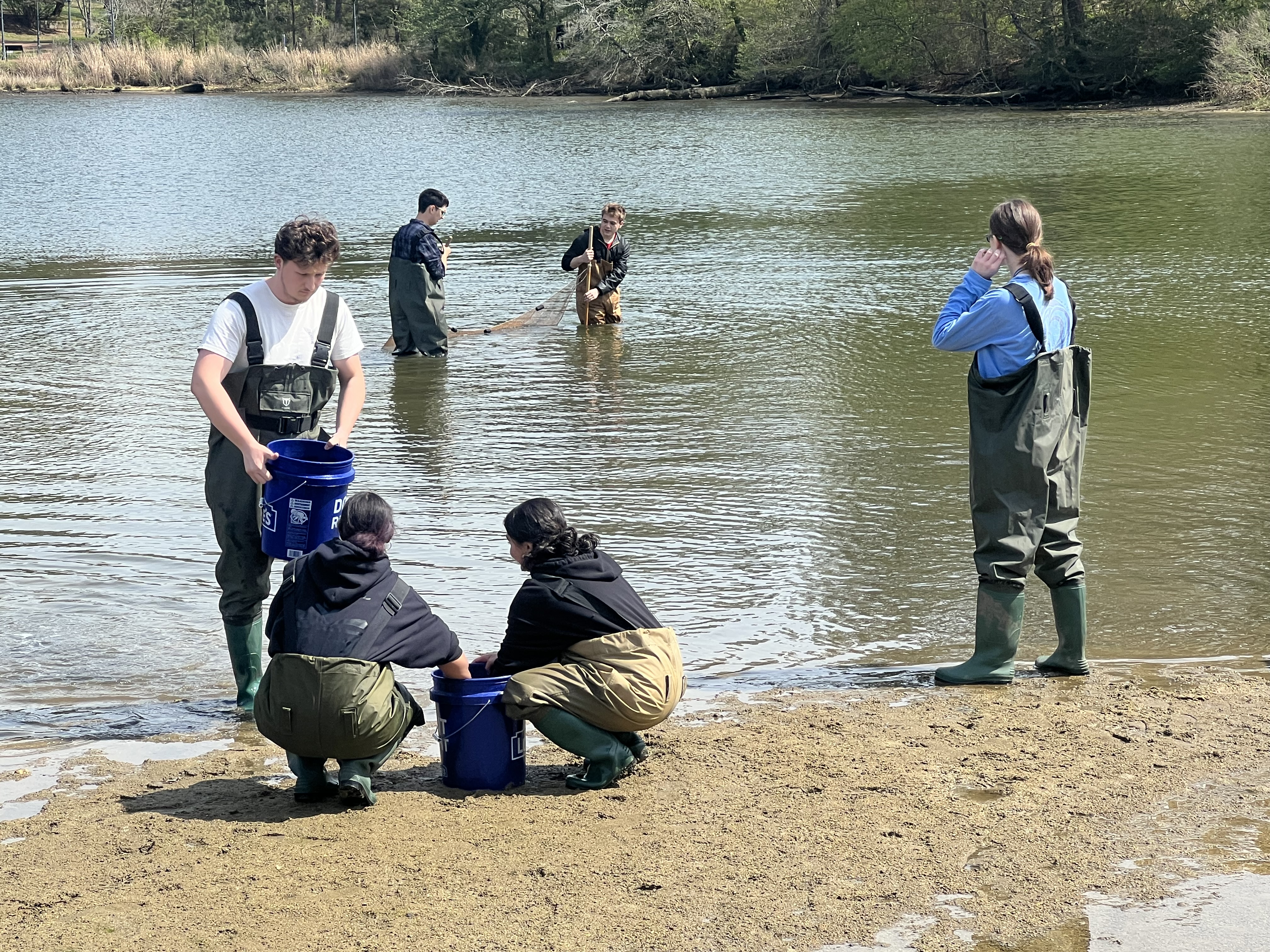 Five people wearing waders work by a lakeshore; three handle blue buckets on the sand while two use a net in the shallow water.