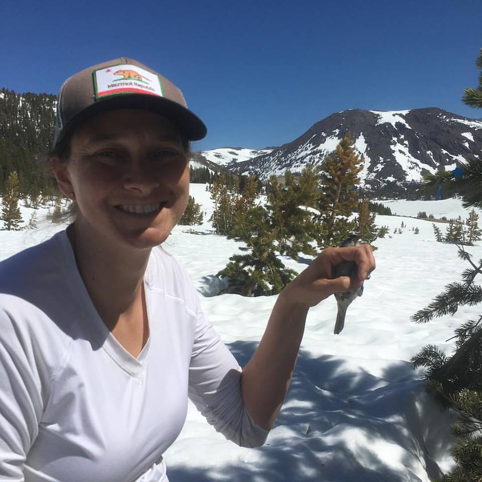 Malisch at her field site holding a white-crowned sparrow