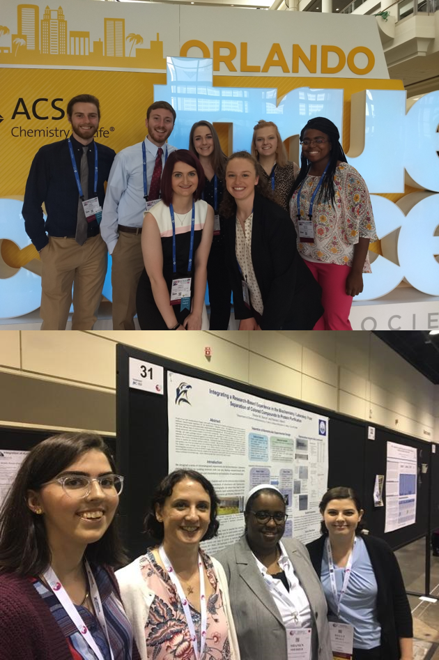 SMCM Chemistry and Biochemistry Students Present at National Conferences