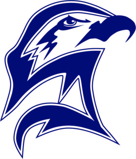 seahawk head logo