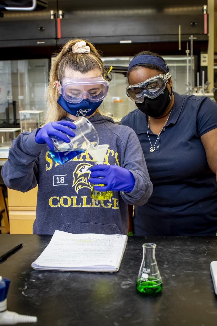 faculty member and student in a lab pictured