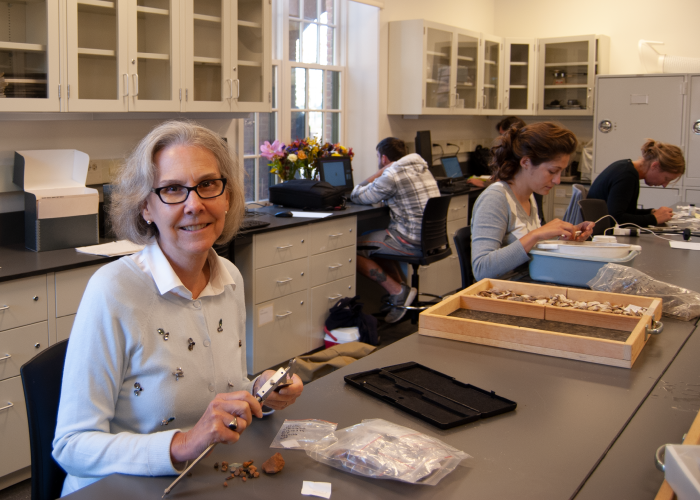 Professor Julia King working with students in her lab 