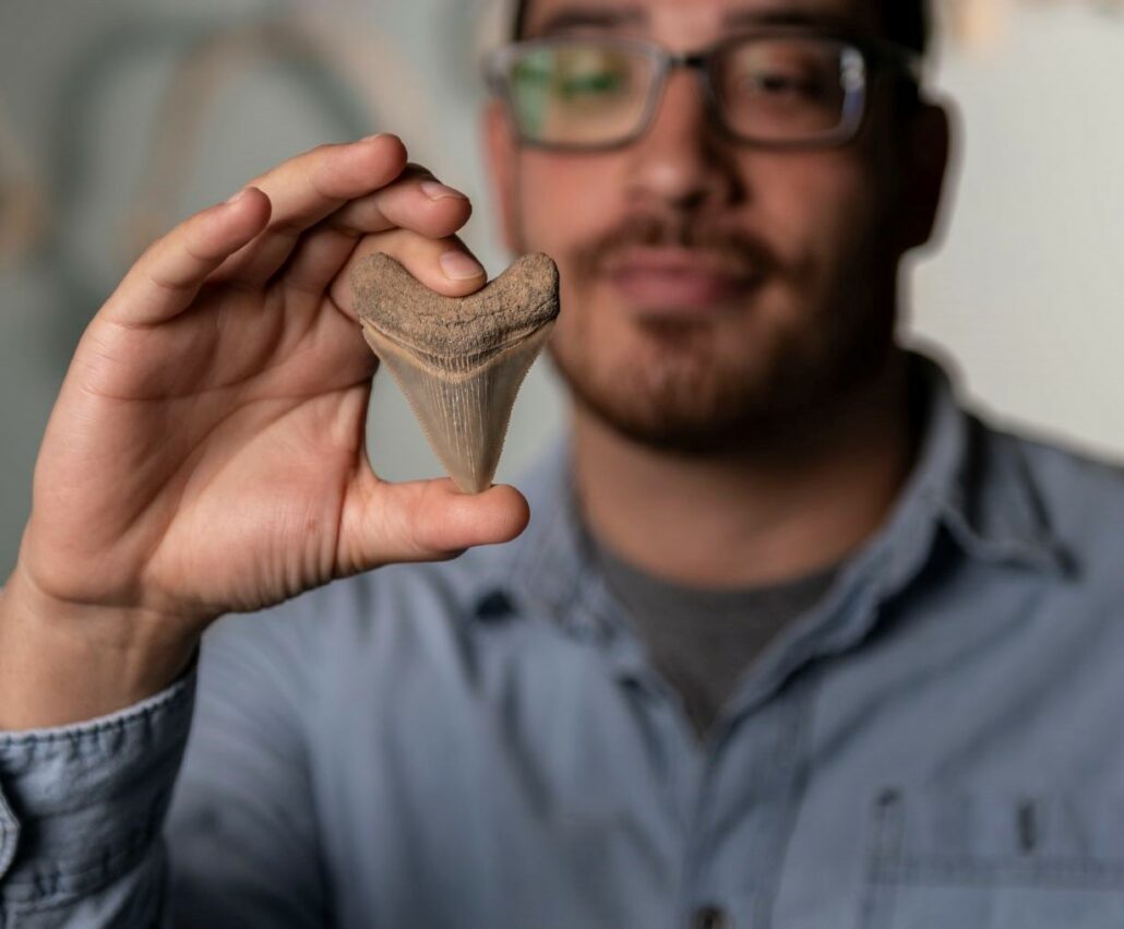 A person wearing glasses and a blue shirt holds up a large fossilized tooth. The tooth is in focus, with the person slightly blurred in the background.