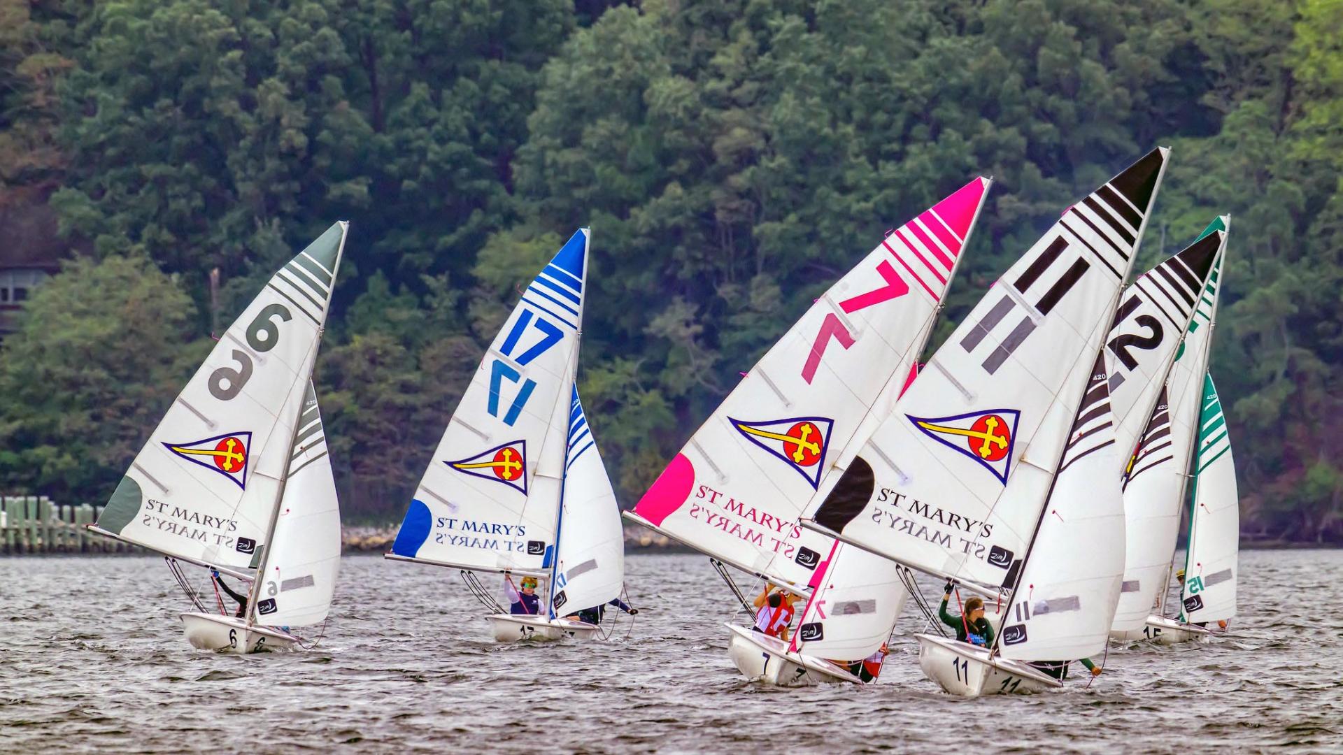 Several sailboats with colorful numbered sails racing on a lake, with trees in the background. Several sailboats with colorful numbered sails racing on a lake, with trees in the background.