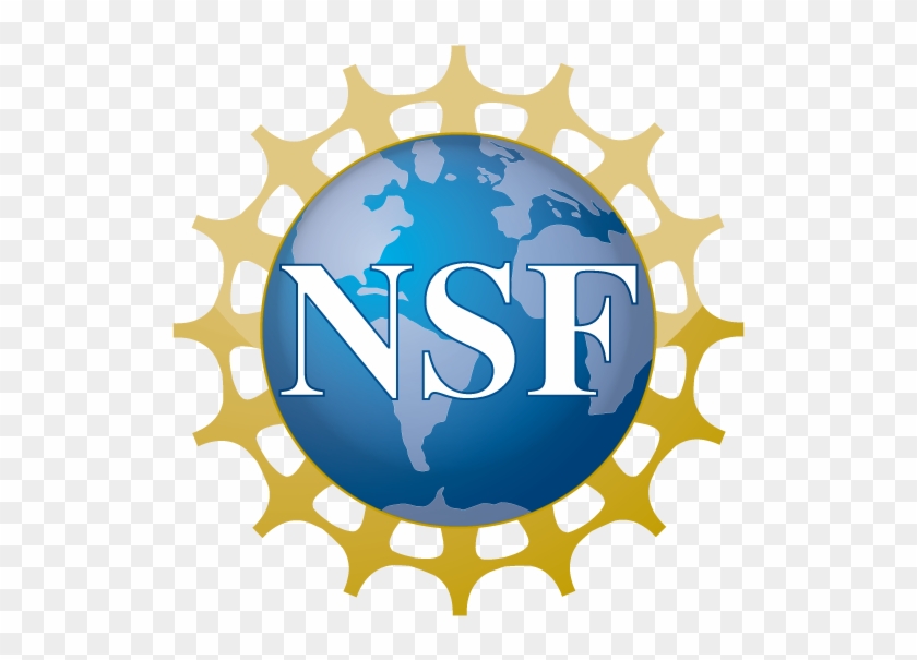 NSF logo featuring a blue globe with white continents, the letters "NSF" in white, and a gold gear-like border.