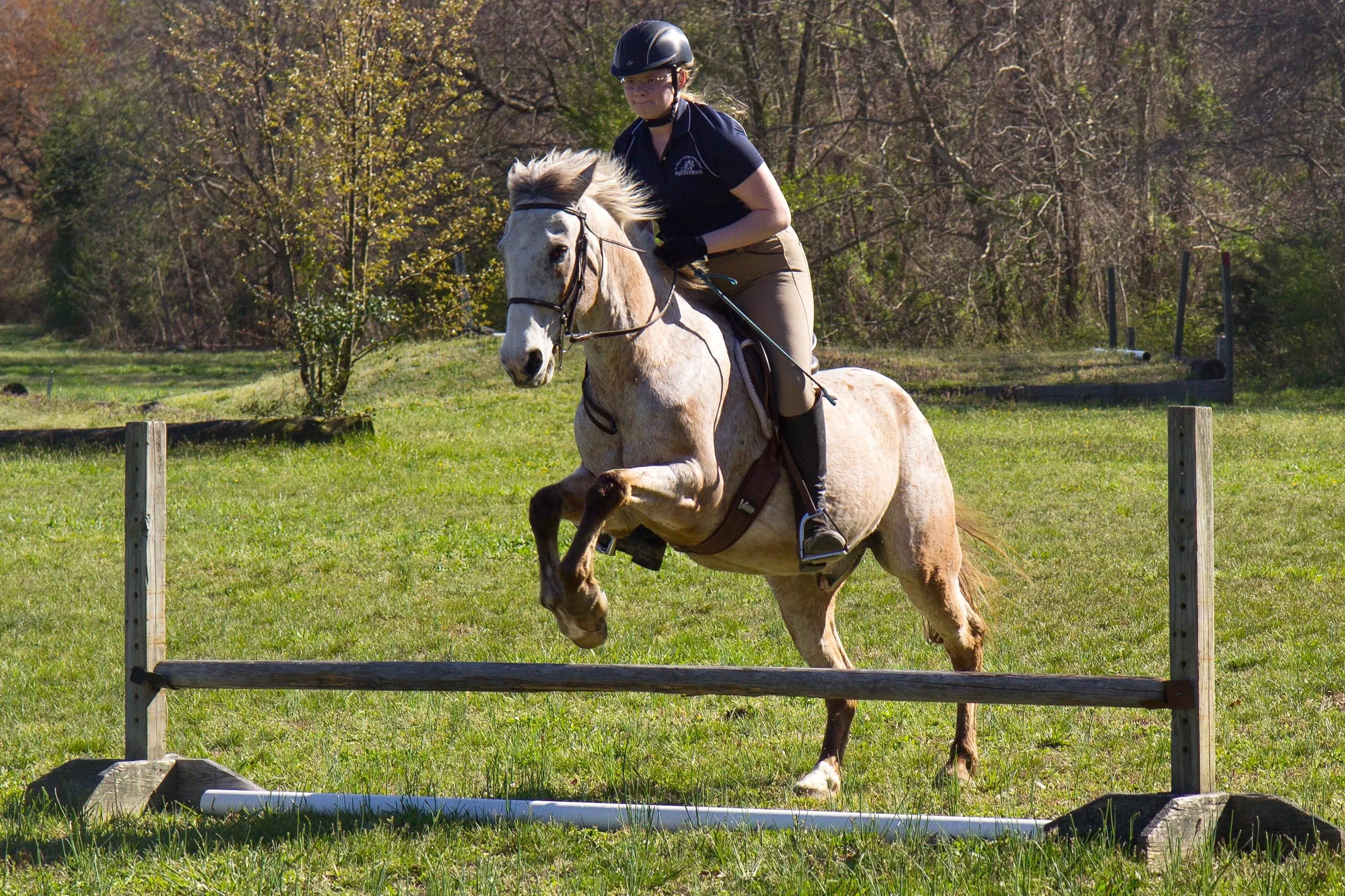a woman on a brown horse leaps over a hurdle