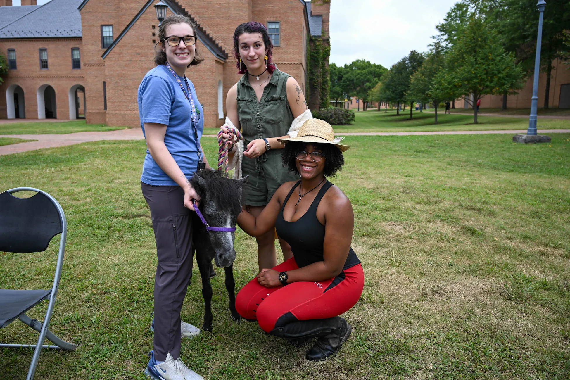 Three students on a lawn with a mini-horse