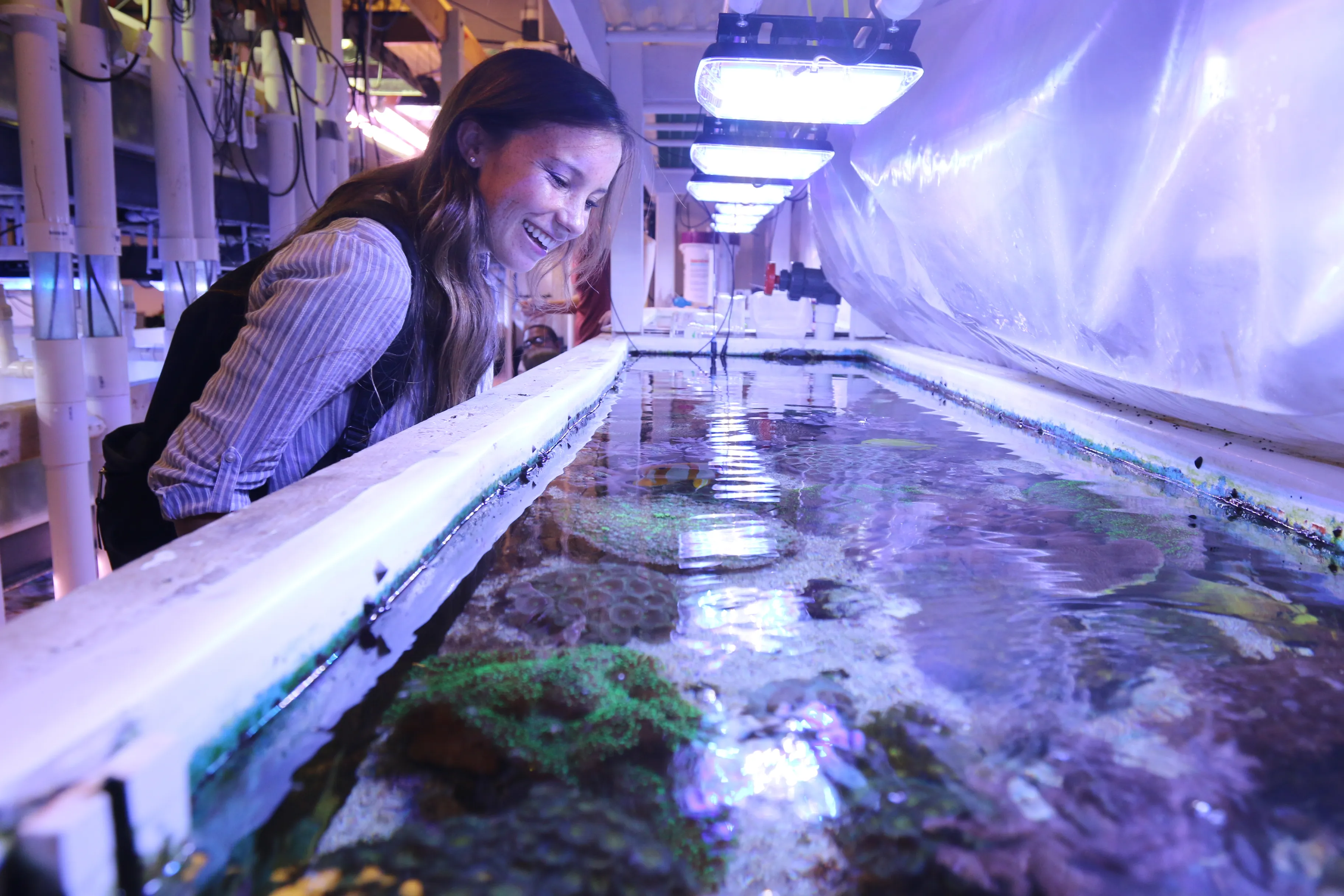 Woman observing a large tank with corals and marine life