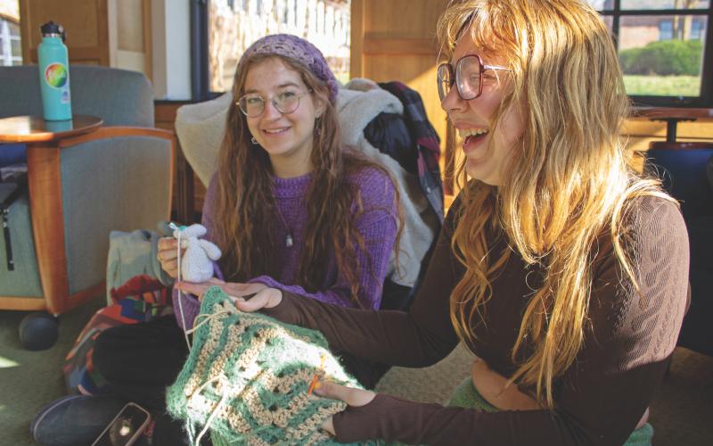 Two students knitting happily