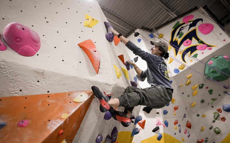 A student reaching the top of a rock climbing wall