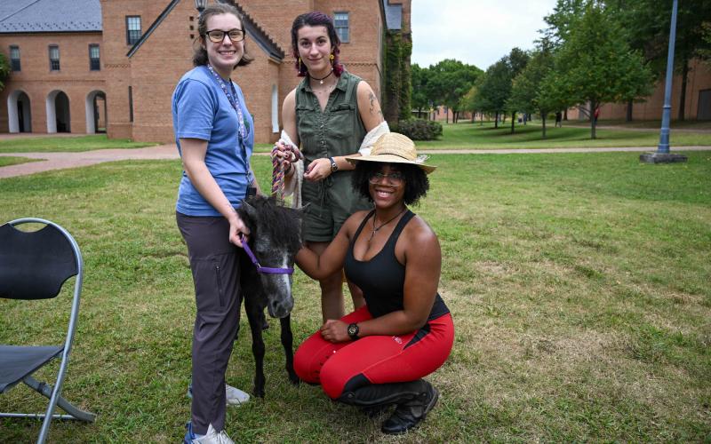 Three students on a lawn with a mini-horse