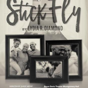 Stick Fly poster image