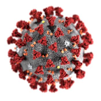 coronavirus virus pictured
