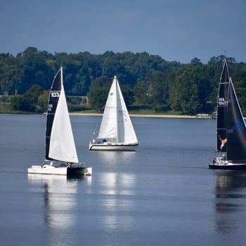 sailboats pictured competing in Gov Cup