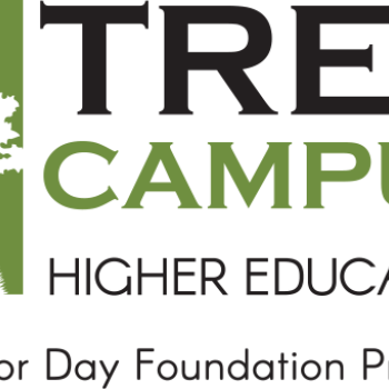 Tree campus logo