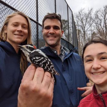 Tobiansky holding a Downy Woodpecker with 2 undergraduate researchers at SMCM