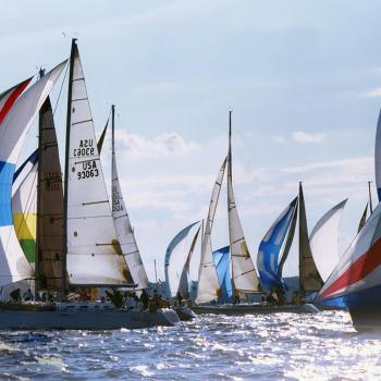Sailboats at the start of the Governor's Cup