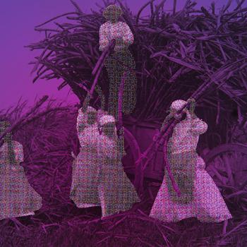 Four women load sugarcane onto a large wooden cart, set against a purple-tinted background.