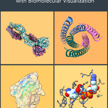 Cover art for "Seeing the Invisible: Learning to Teach with Biomolecular Visualization," featuring four colorful 3D molecular structure models.