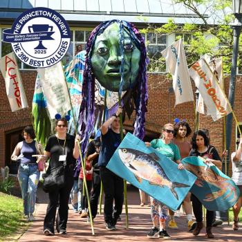 A group of people participate in an outdoor parade carrying banners, a large fish prop, and a green puppet head. A "Best 390 Colleges" Princeton Review badge is overlaid in the top left.