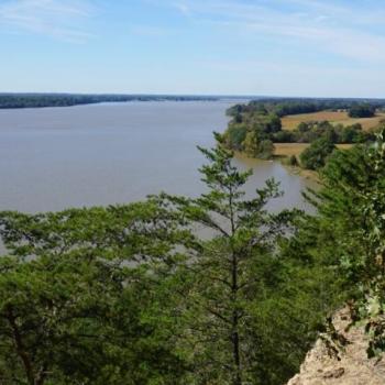 View of a wide river bordered by trees and grassy areas, seen from an elevated vantage point on a clear day.